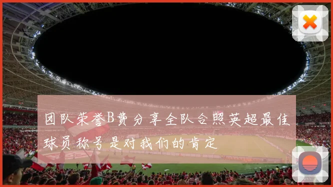 团队荣誉B费分享全队合照英超最佳球员称号是对我们的肯定
